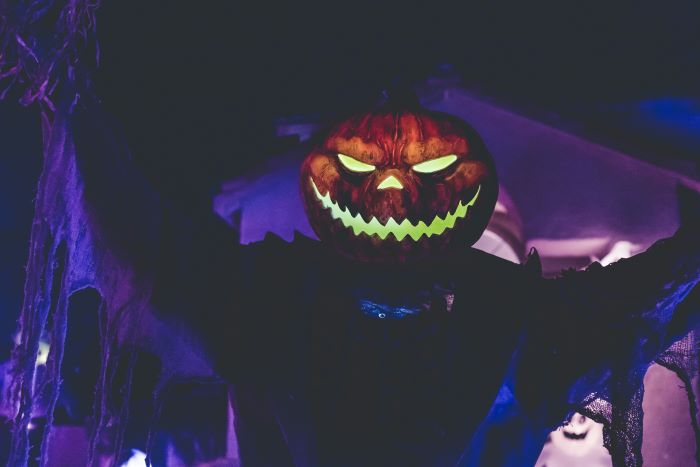 Halloween E-Mail-Marketing: Ist es das wert?