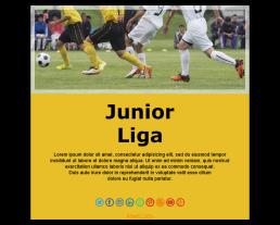 Football Basic 05 (DE)
