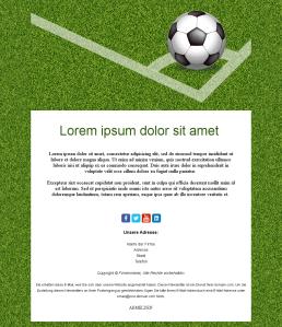 Football Medium 01 (DE)