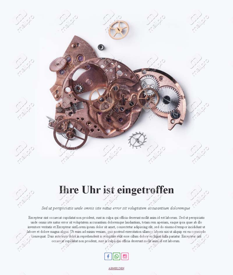 Uhrentrends im Blick