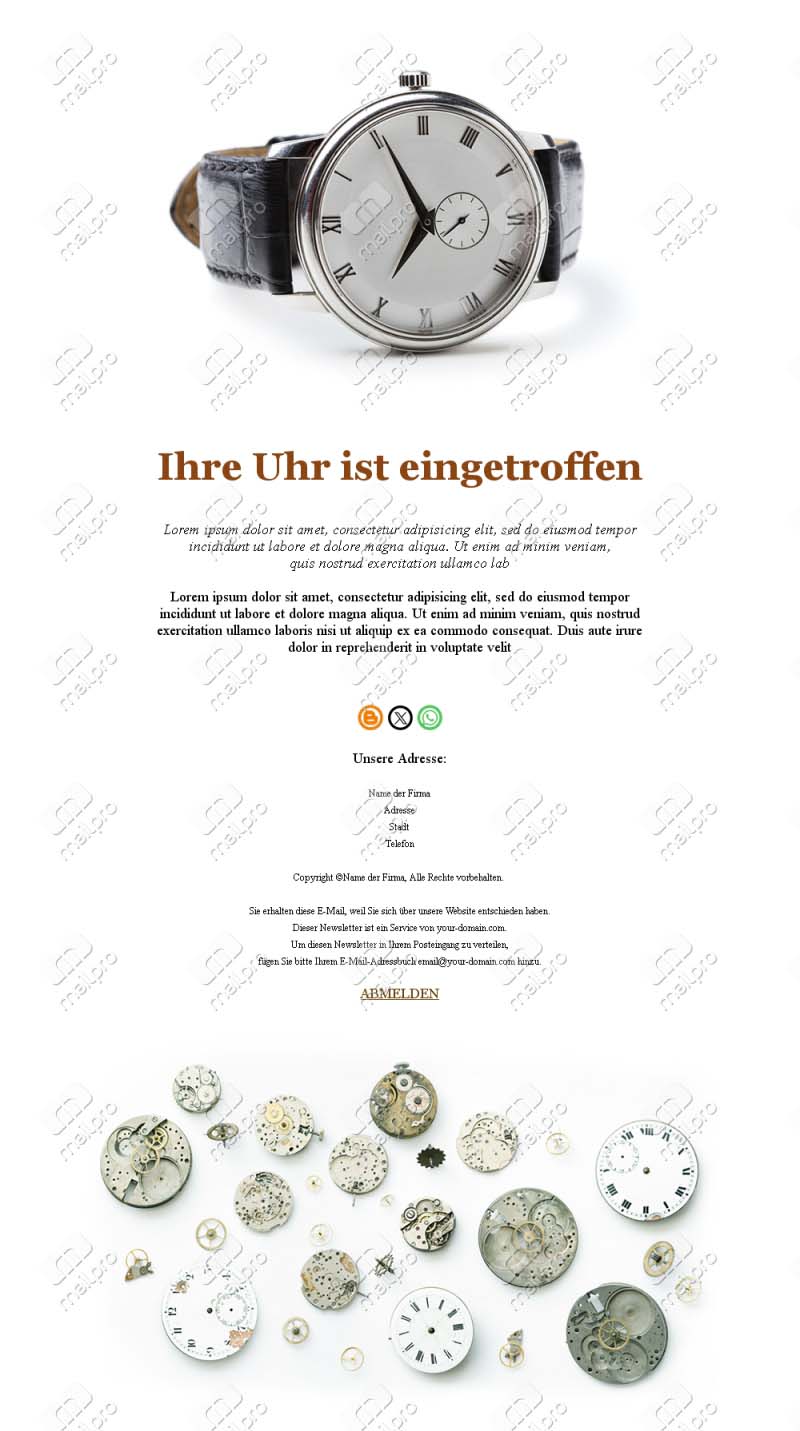 Neue Modelle entdecken