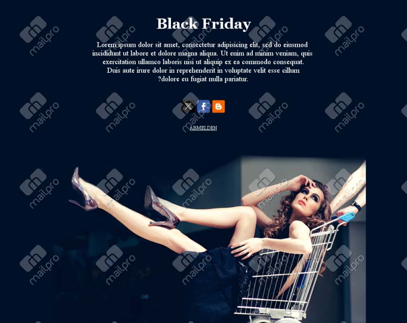 Black Friday Highlights