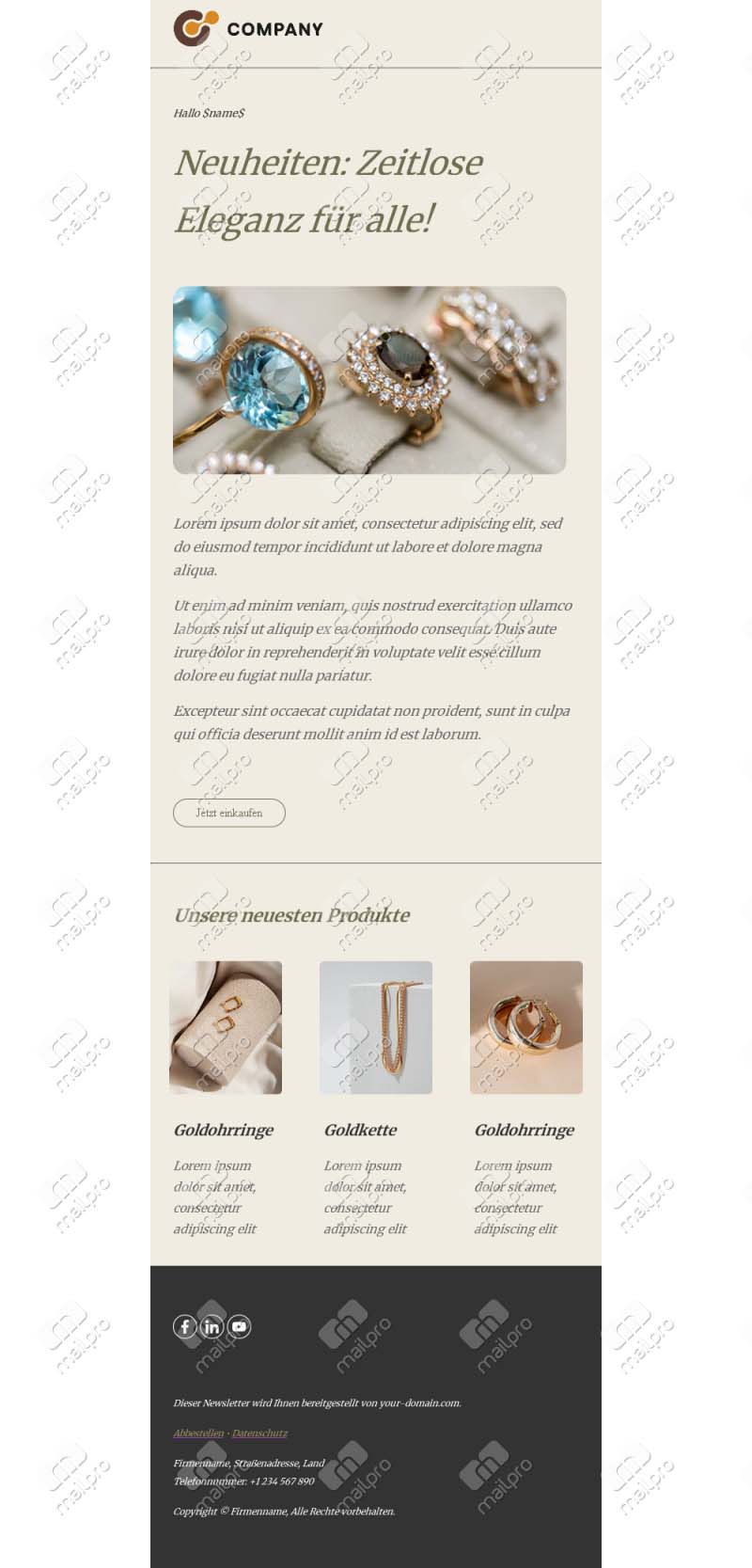 Vorlage Schmuck Email Design
