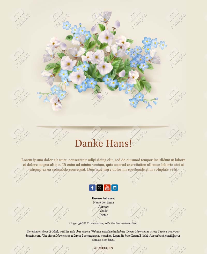 Template Email Danke Feedback