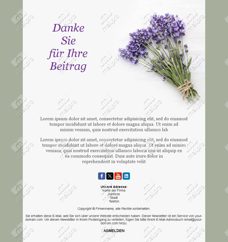 Template Email Danke Kunden