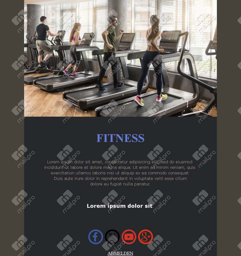 Fitness Newsletter Emails