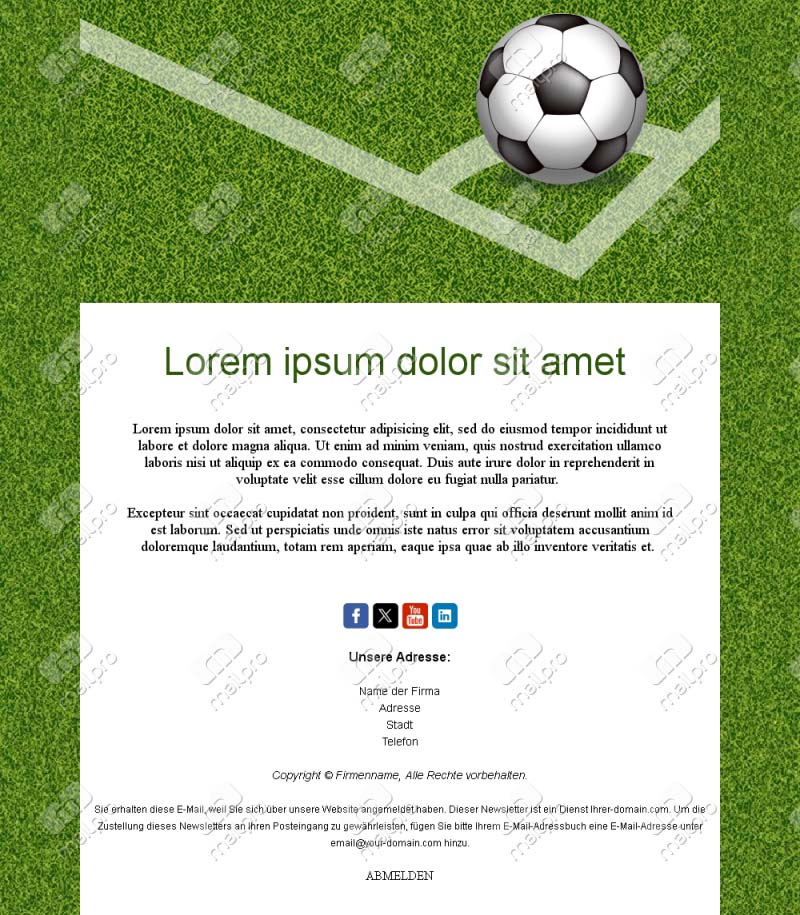 Email Fußball Newsletter