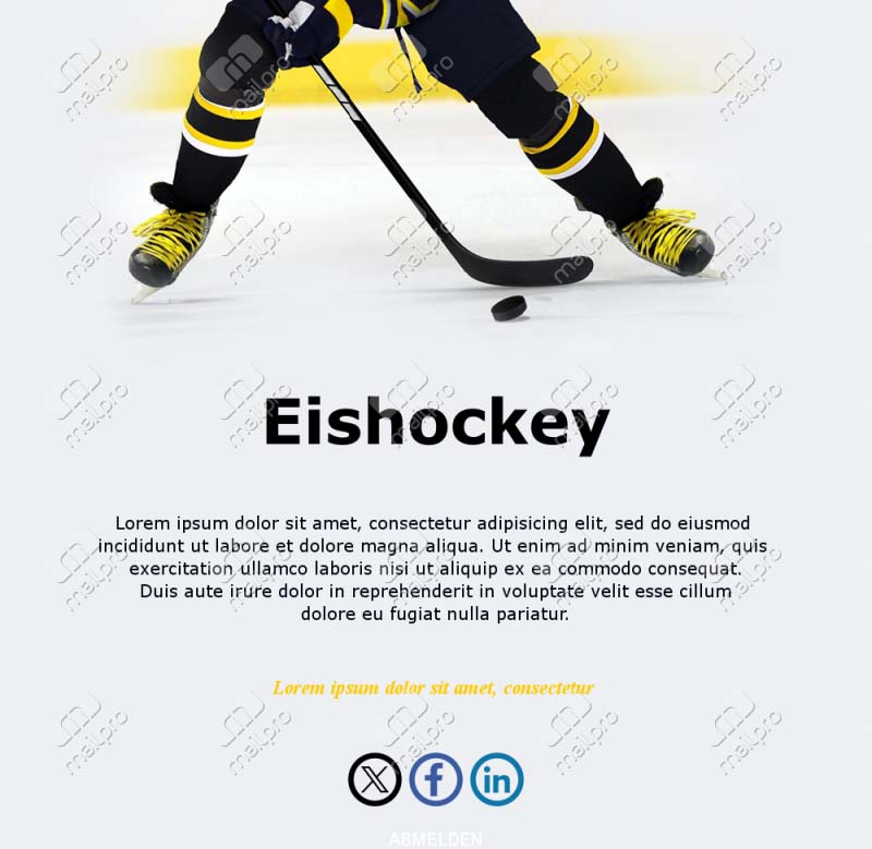 Email Hockey Aktuell