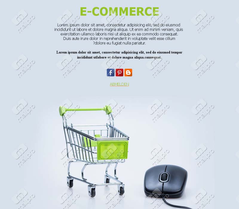 Verkaufserfolg Online