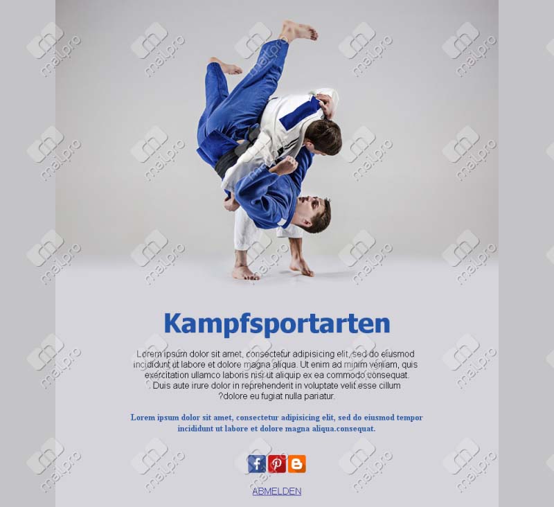 Kampfsport-Action