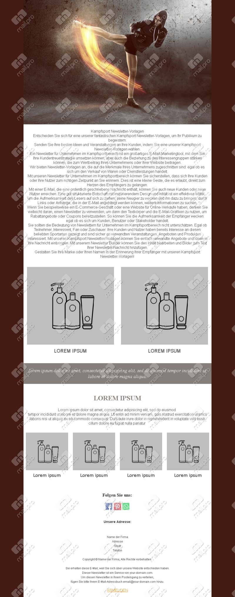 Kampfsport-Motivation