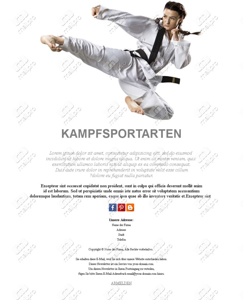 Kampfsport-Updates