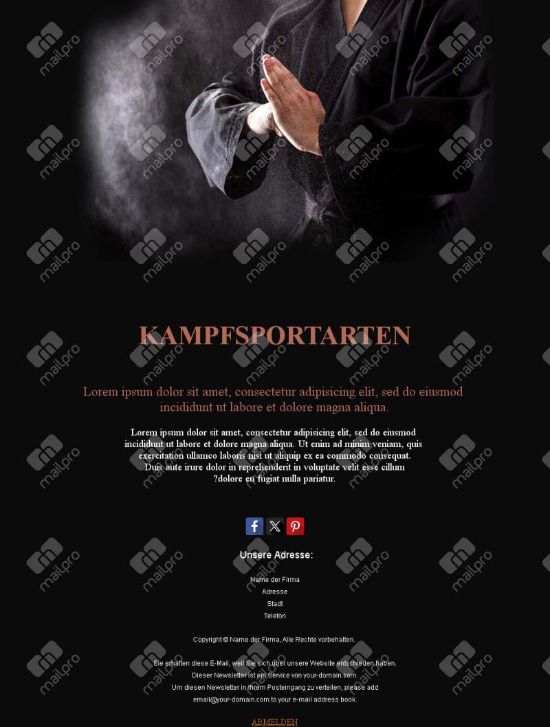 Kampfsport-Exzellenz Zeigen Sie höchste Disziplin