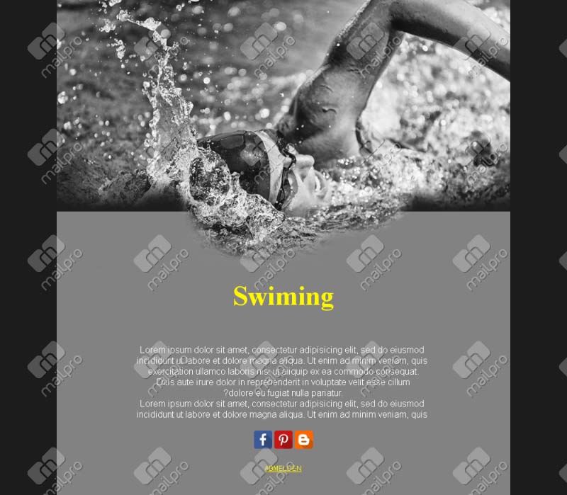 Schwimmteam Newsletter