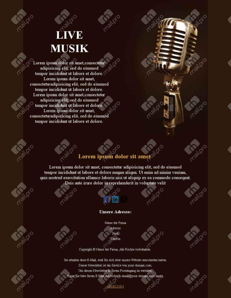 Musik-Event-Vorlagen