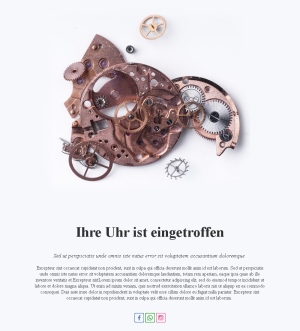 Uhrentrends im Blick