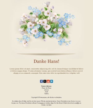 Template Email Danke Feedback