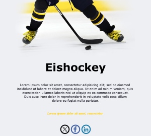 Email Hockey Aktuell