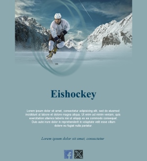 Email Hockey Saison