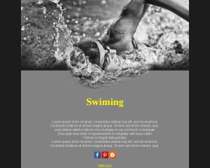 Schwimmteam Newsletter